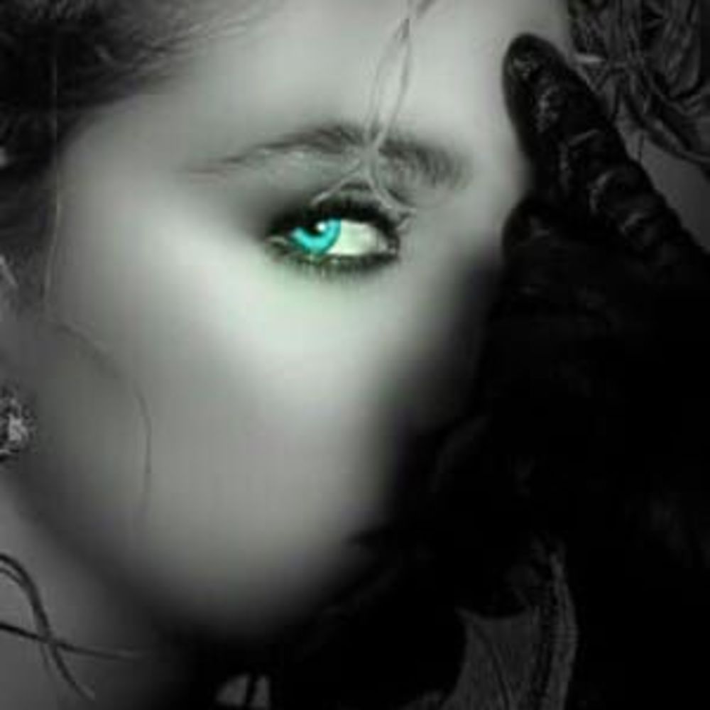 Meet your Posher, Barbara